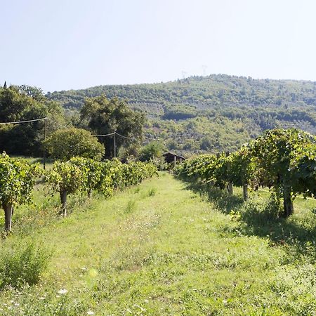 Agriturismo I Melograni Ferentillo Luaran gambar