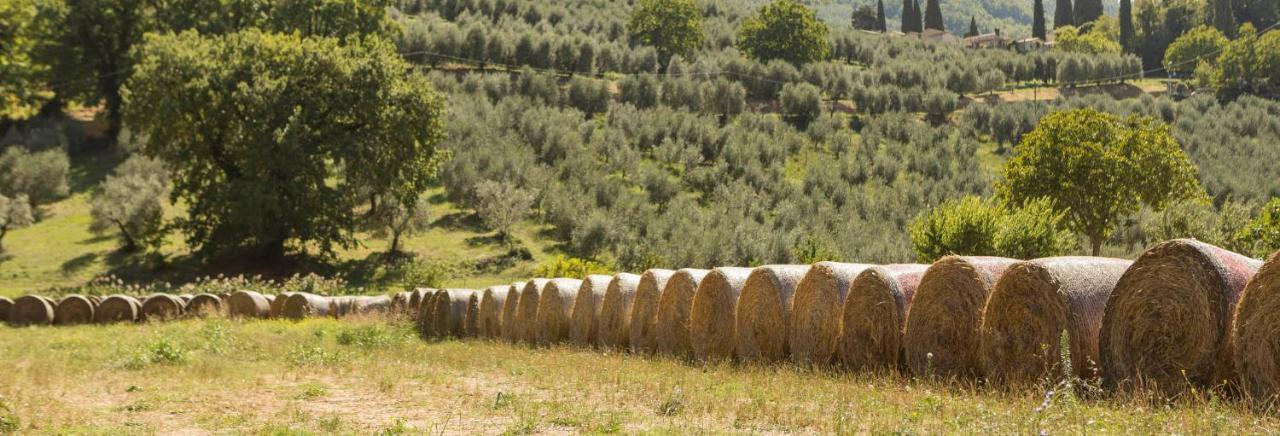 Agriturismo I Melograni Ferentillo Luaran gambar
