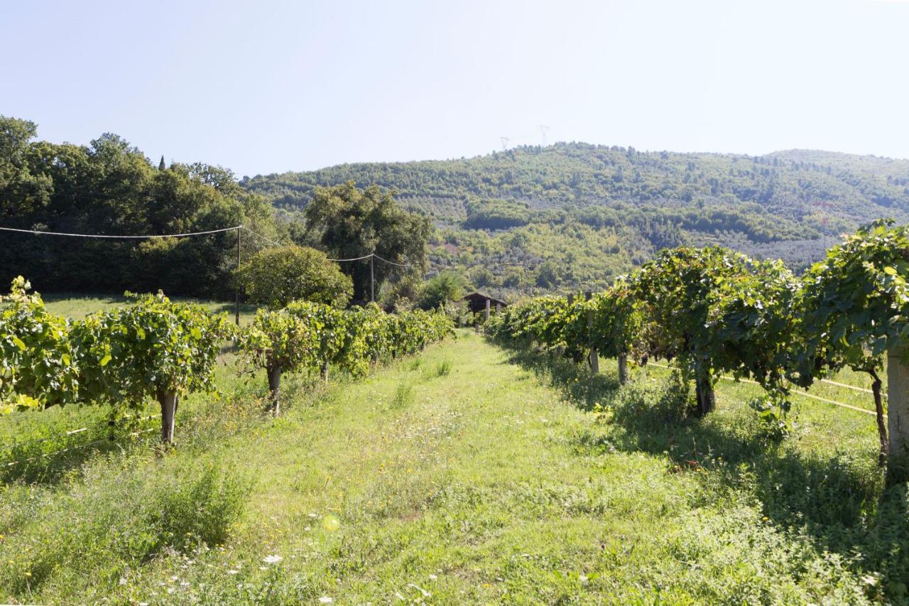 Agriturismo I Melograni Ferentillo Luaran gambar
