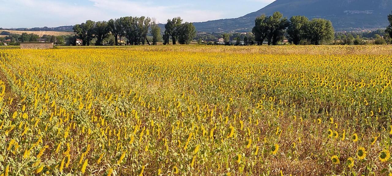 Agriturismo I Melograni Ferentillo Luaran gambar