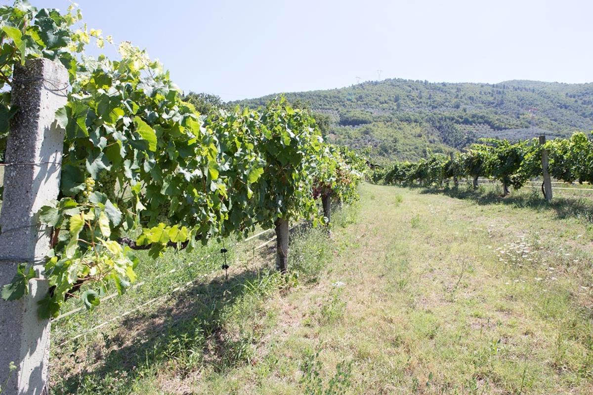 Agriturismo I Melograni Ferentillo Luaran gambar
