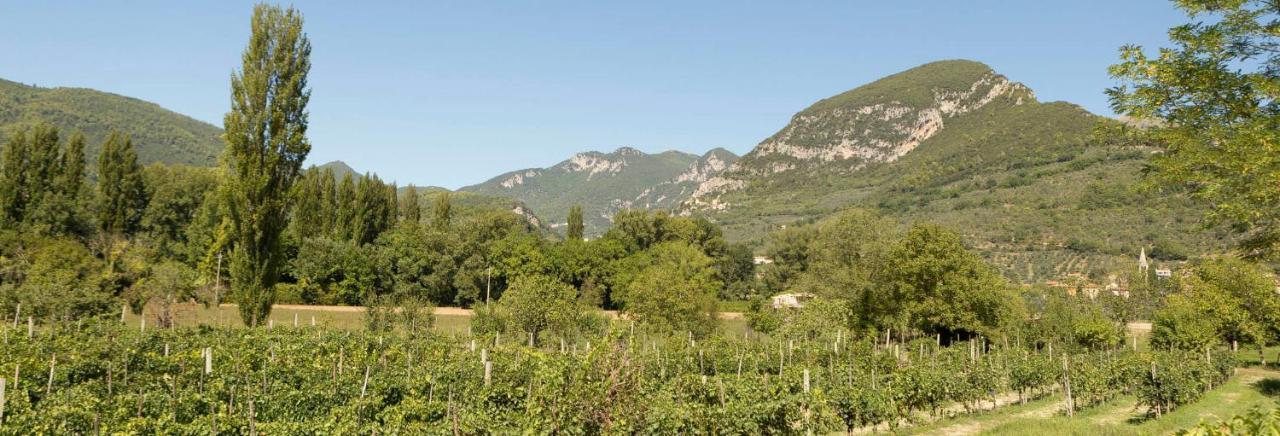 Agriturismo I Melograni Ferentillo Luaran gambar