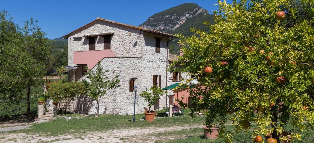 Agriturismo I Melograni Ferentillo Luaran gambar