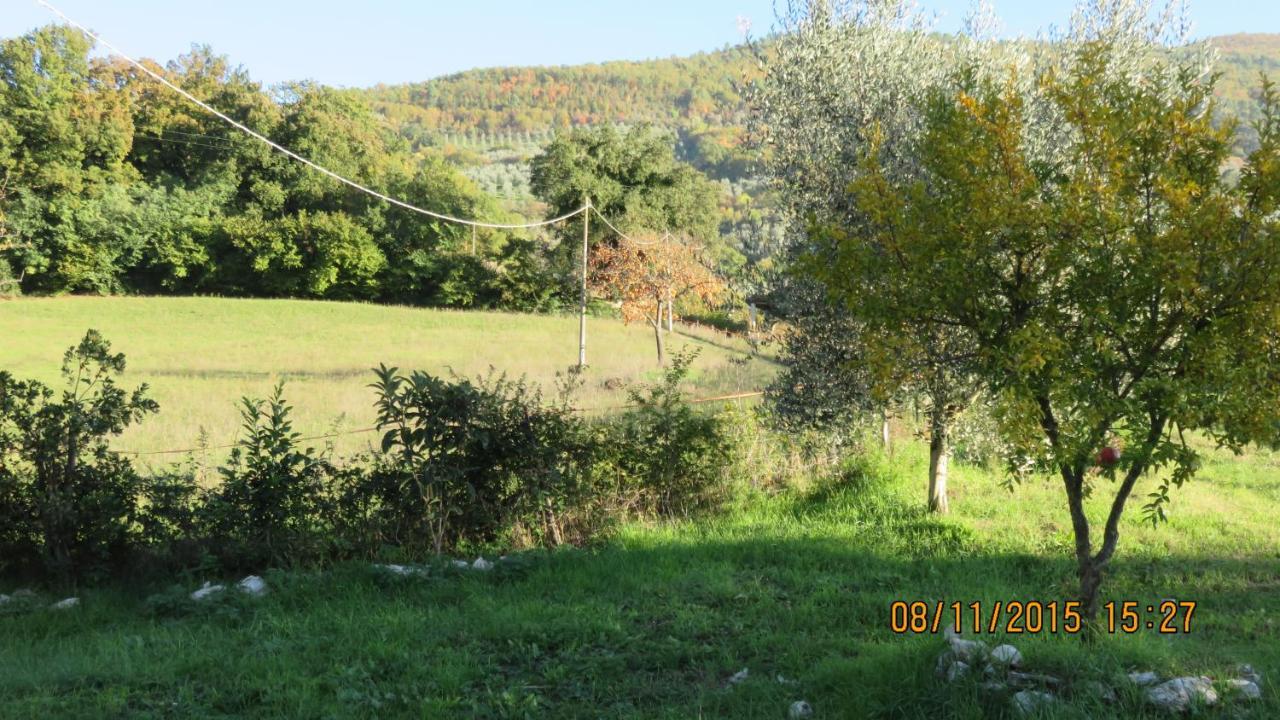 Agriturismo I Melograni Ferentillo Luaran gambar