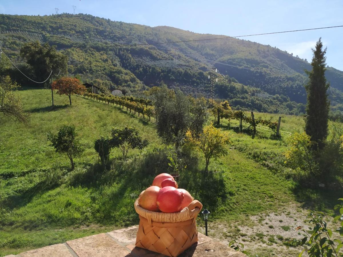 Agriturismo I Melograni Ferentillo Luaran gambar