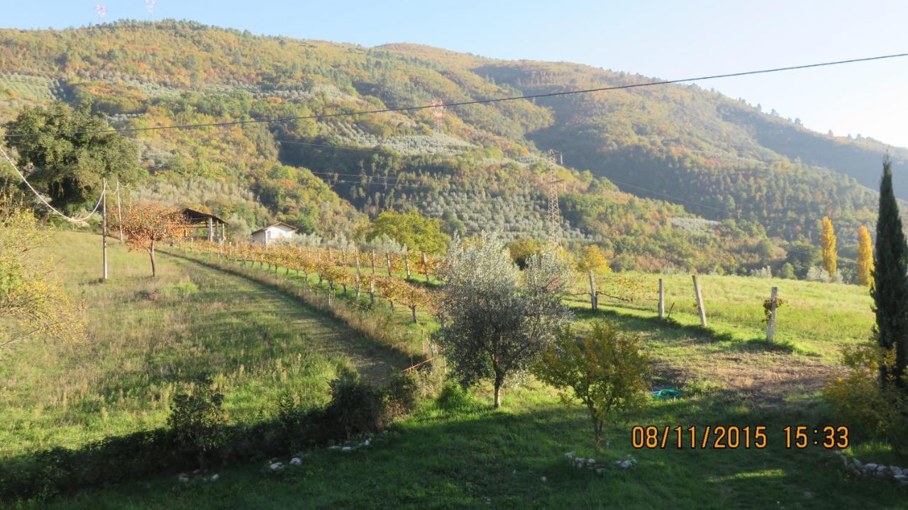Agriturismo I Melograni Ferentillo Luaran gambar