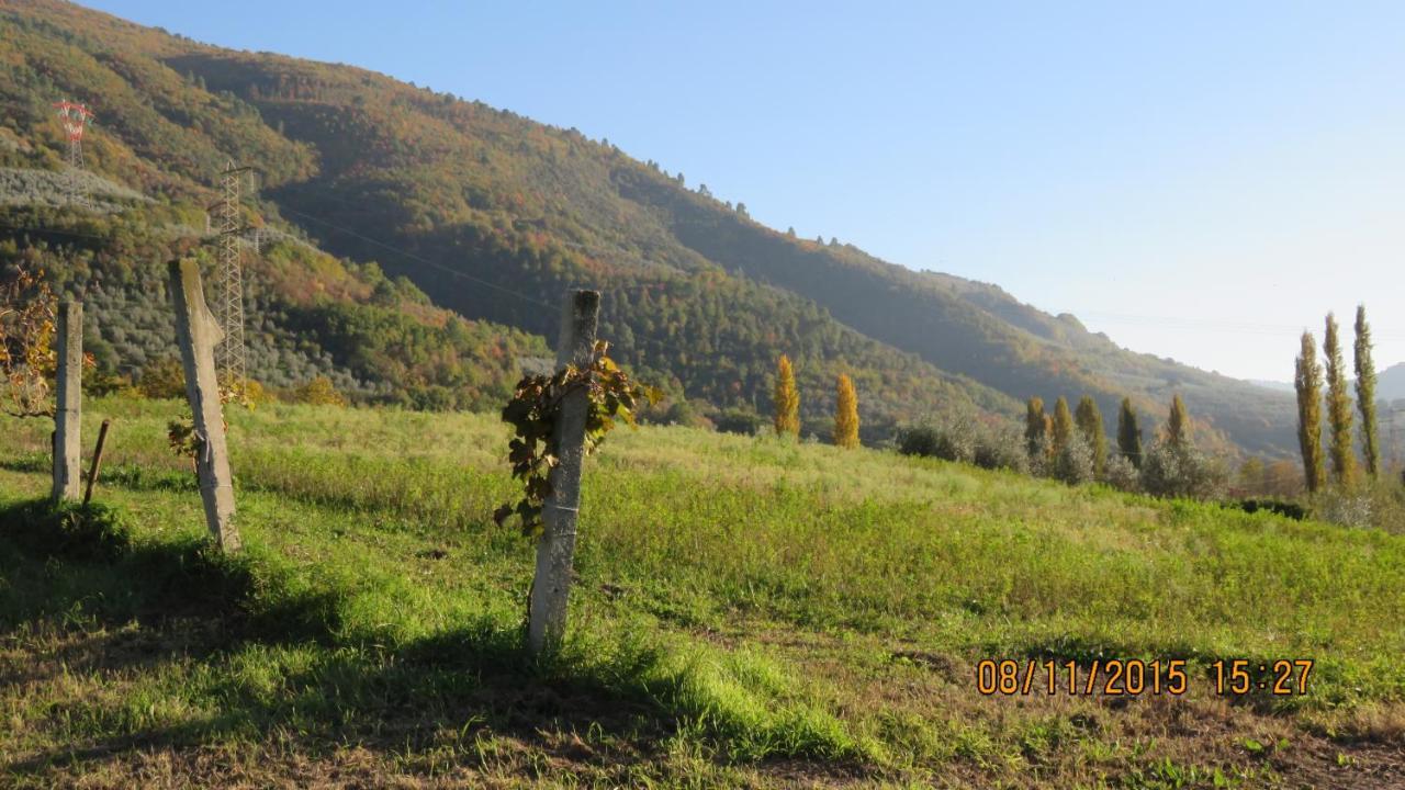 Agriturismo I Melograni Ferentillo Luaran gambar