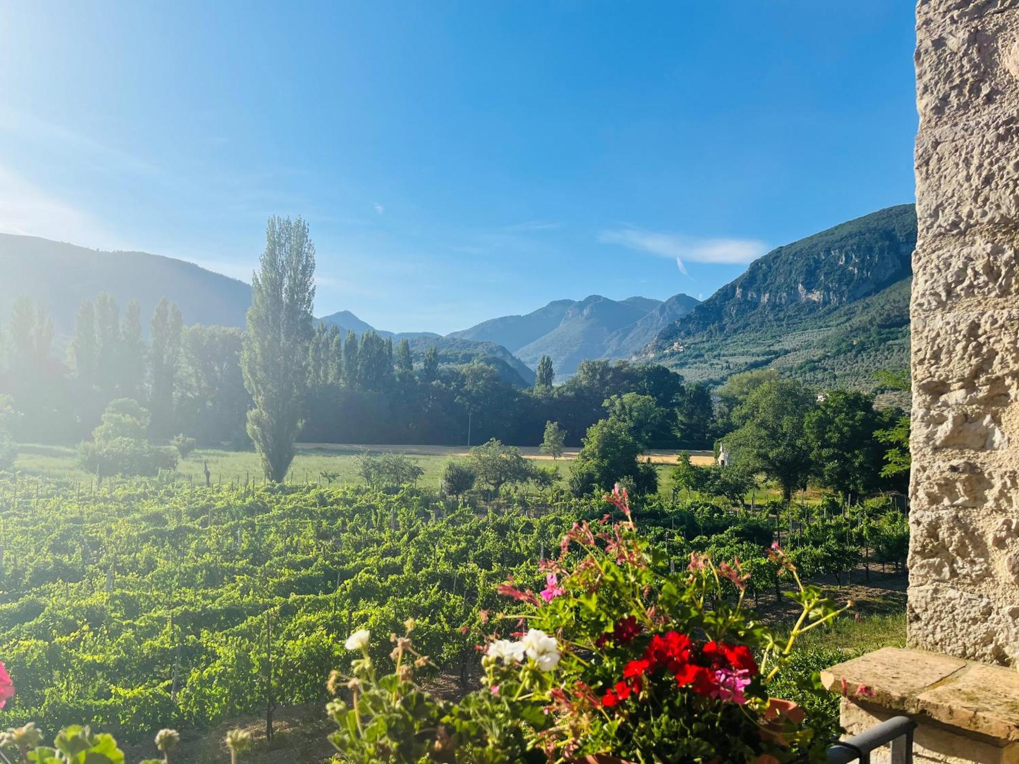 Agriturismo I Melograni Ferentillo Luaran gambar